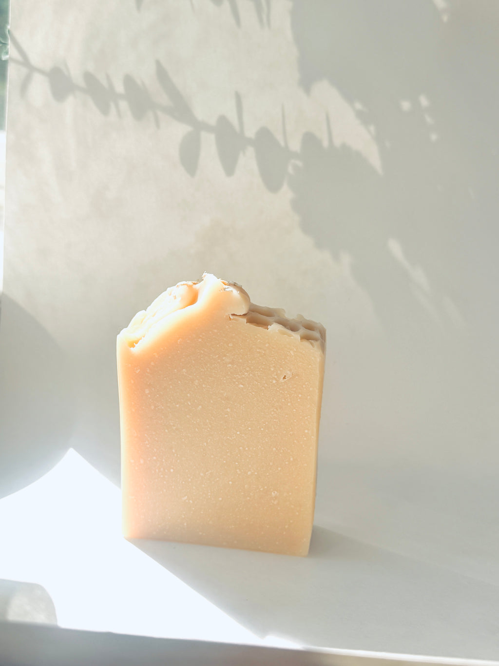 Honey Oatmeal Milk  Soap