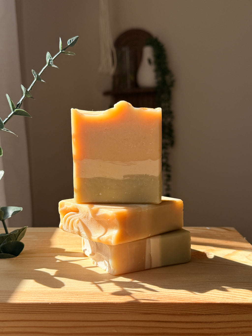 Nettle Sage Golden Glow  Turmeric Goat’s milk soap .