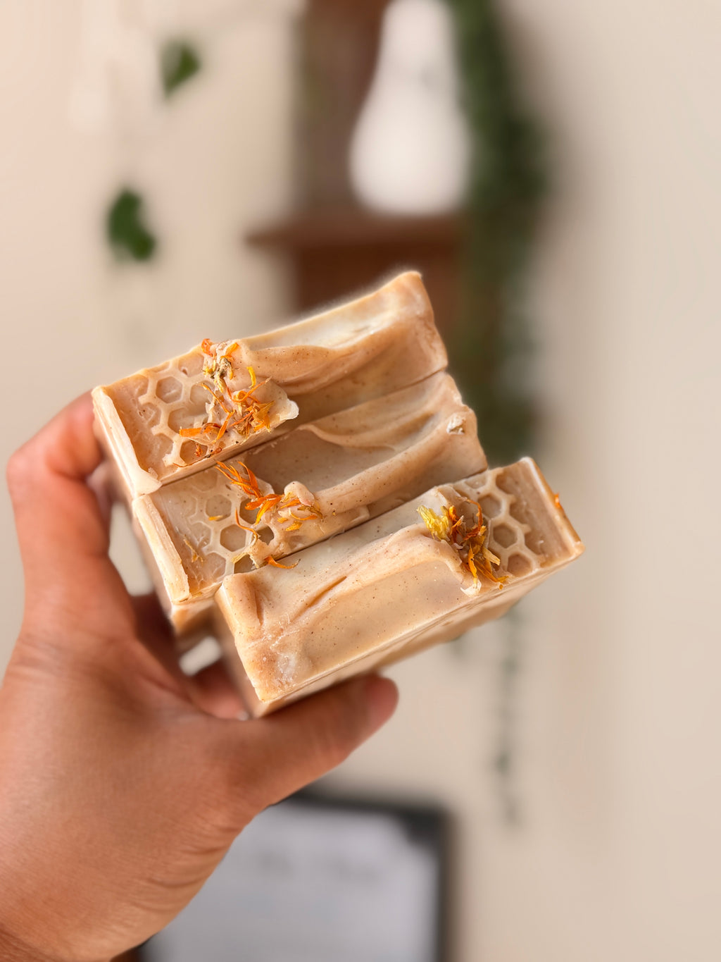 Turmeric Milky Honey Kojic Pre order