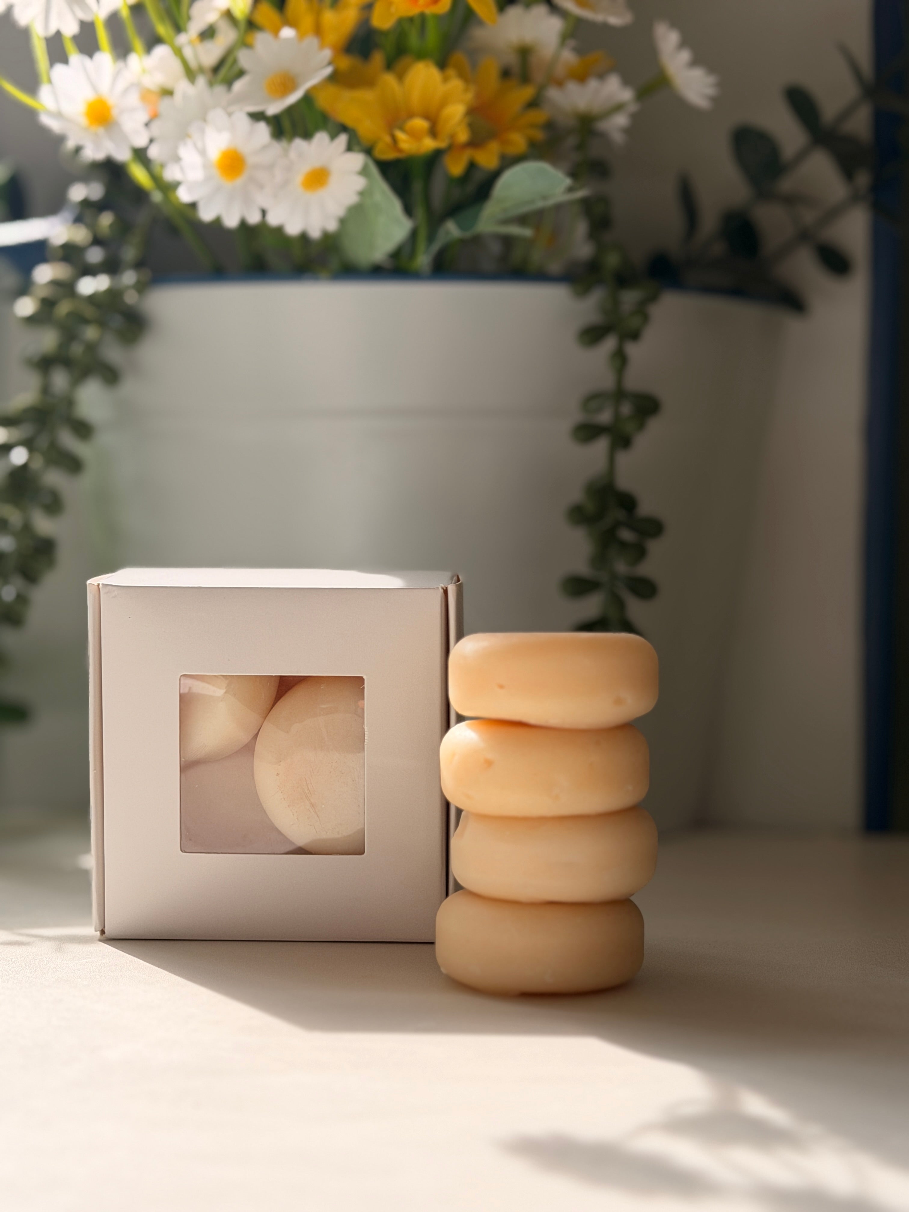 The mini’s travel size collections